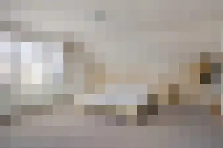 Brouwershei 8 Veldhoven thumbnail 26