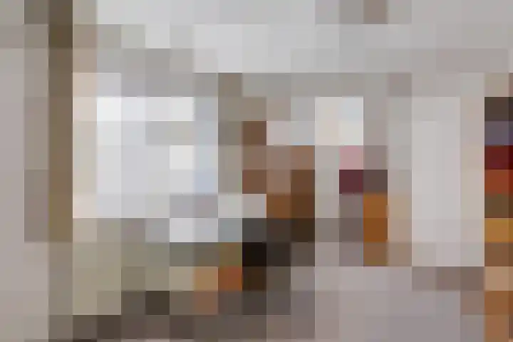 Brouwershei 8 Veldhoven thumbnail 28
