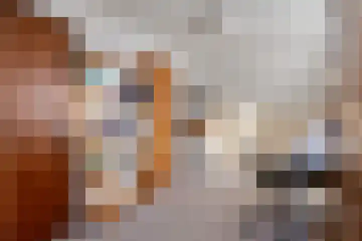 Brouwershei 8 Veldhoven thumbnail 29