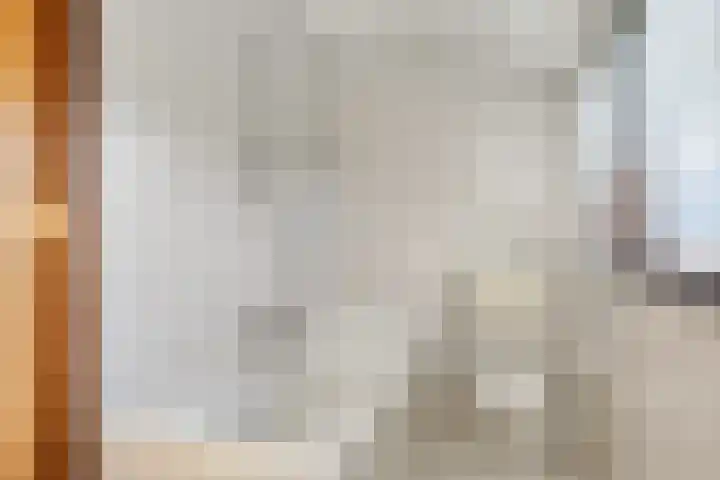 Brouwershei 8 Veldhoven thumbnail 30