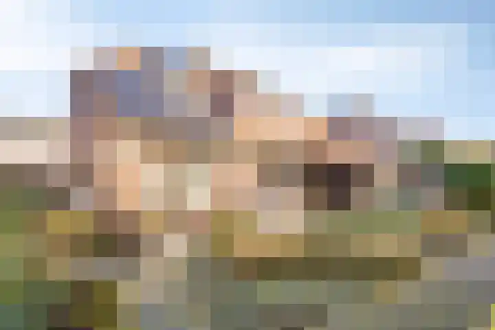 Brouwershei 8 Veldhoven thumbnail 33