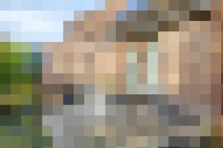 Brouwershei 8 Veldhoven thumbnail 34