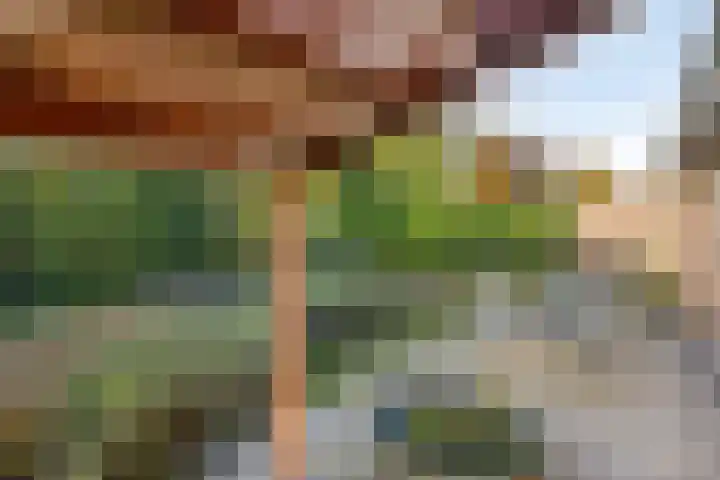 Brouwershei 8 Veldhoven thumbnail 35