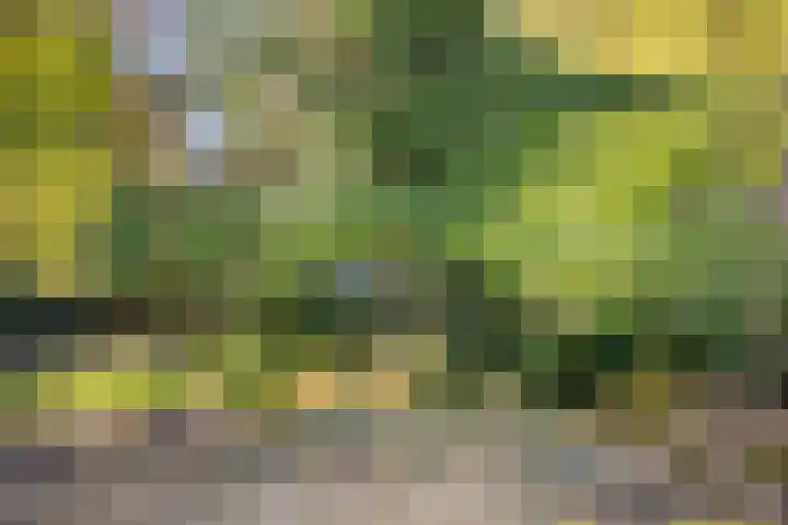 Brouwershei 8 Veldhoven thumbnail 37