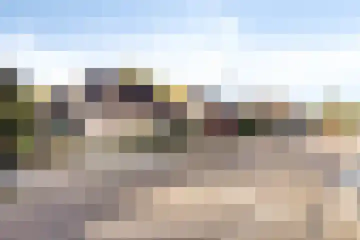 Brouwershei 8 Veldhoven thumbnail 39