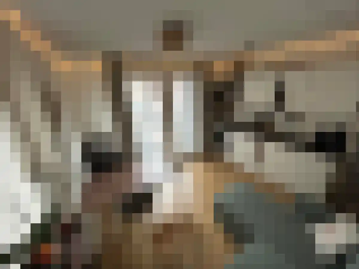 Brouwershoef 1 Ede thumbnail 5