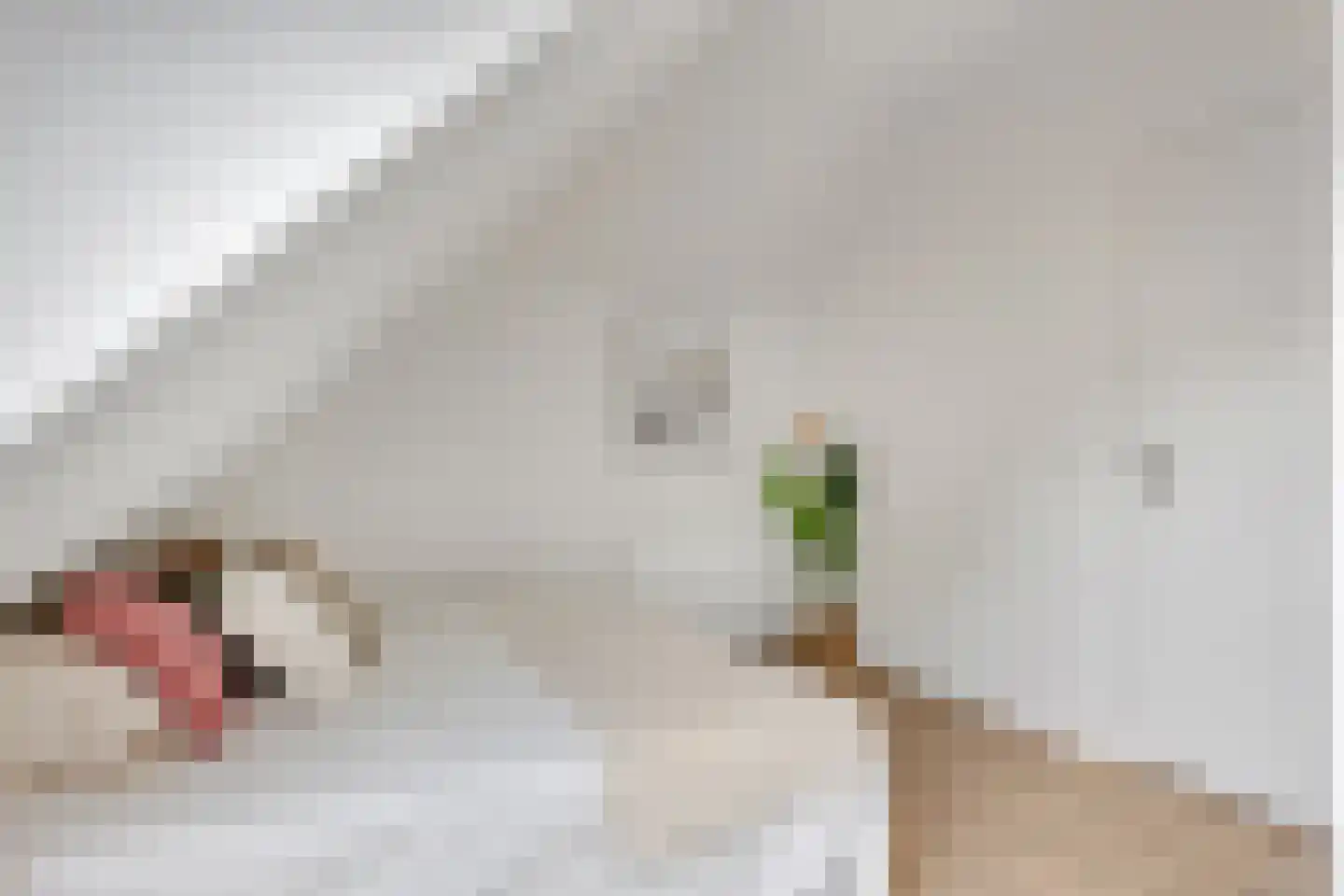 Brouwershoef 2 F Ede thumbnail 12