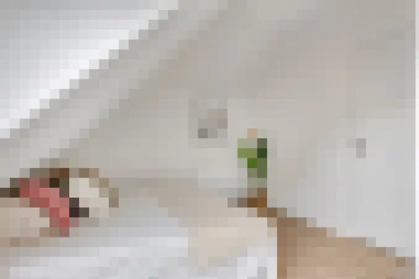 Brouwershoef 2 F Ede thumbnail 12