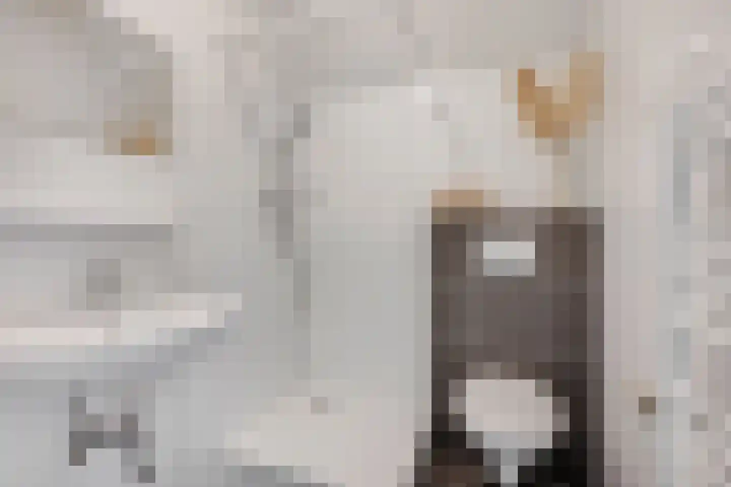 Brouwershoef 2 F Ede thumbnail 13