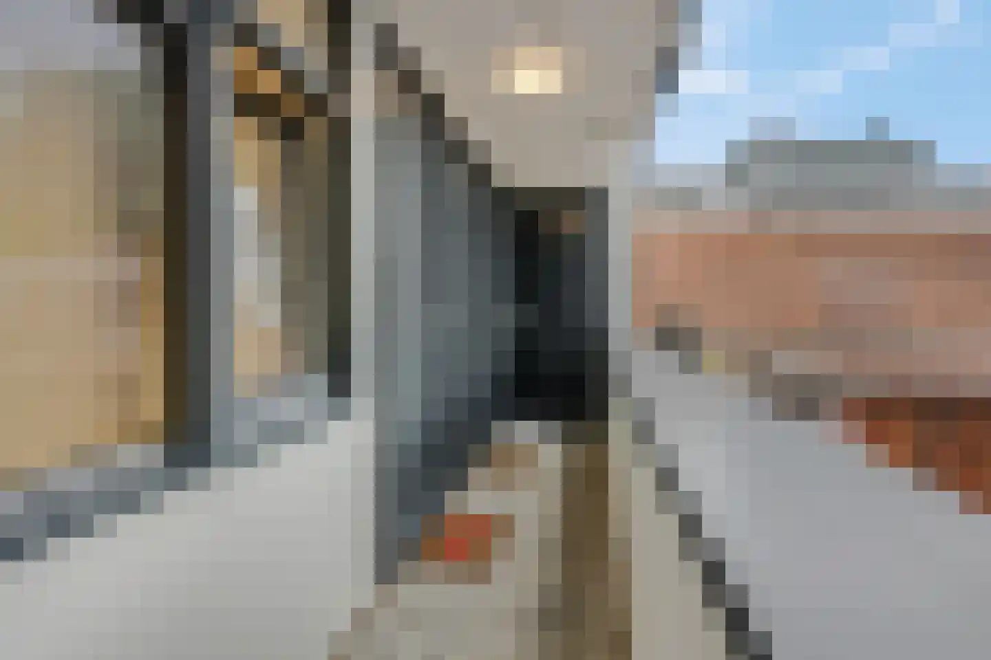 Brouwershoef 2 F Ede thumbnail 16