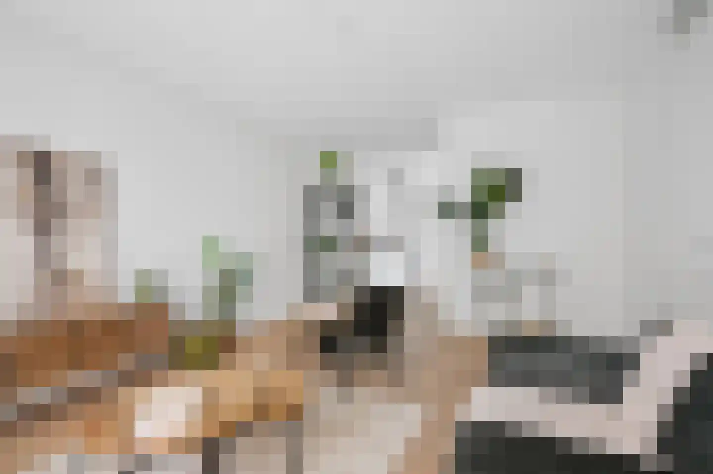 Brouwershoef 4 A Ede thumbnail 4
