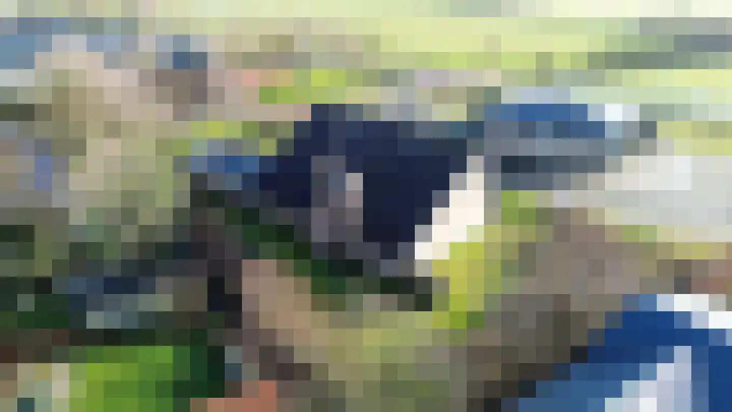 Brouwershoekweg 1 Midsland thumbnail 35