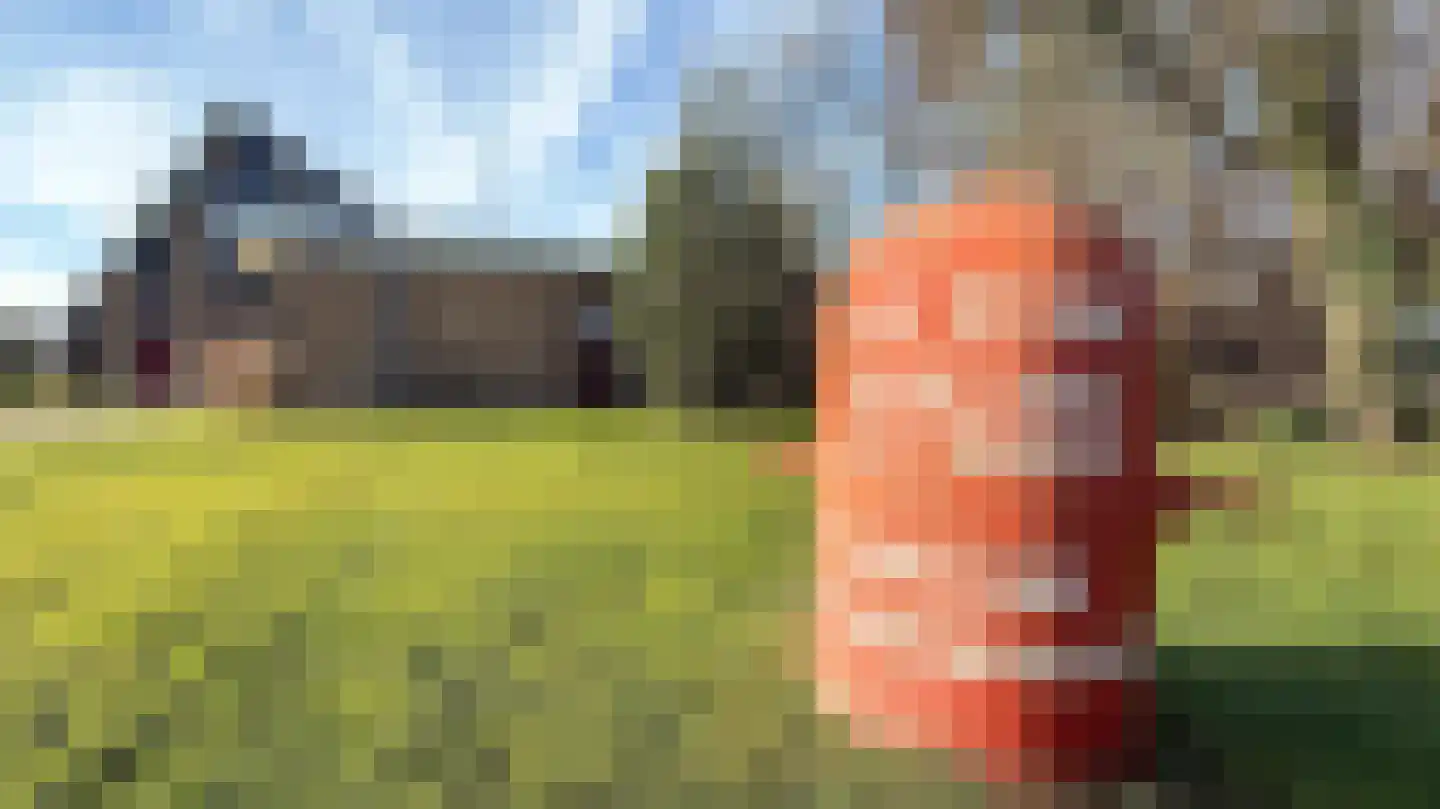 Brouwershoekweg 1 Midsland thumbnail 39