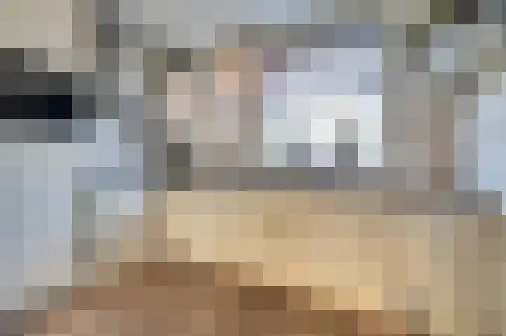 Brouwershof 14 Gameren thumbnail 10