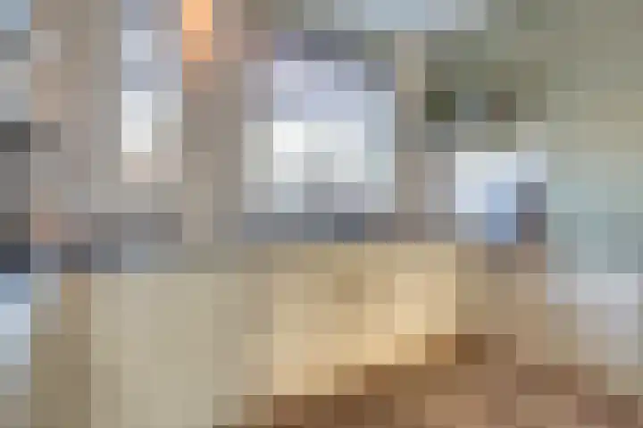 Brouwershof 14 Gameren thumbnail 11