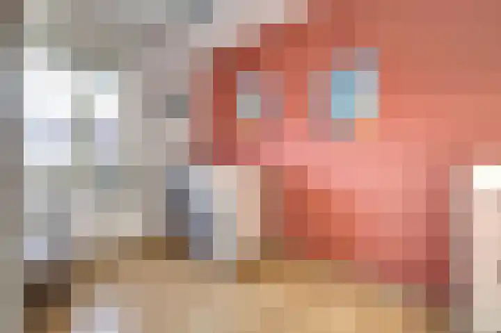 Brouwershof 14 Gameren thumbnail 21