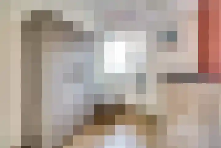 Brouwershof 14 Gameren thumbnail 22