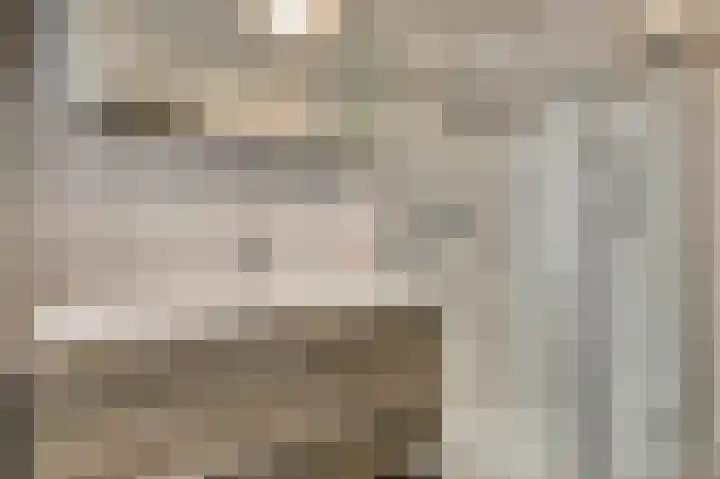 Brouwershof 14 Gameren thumbnail 25