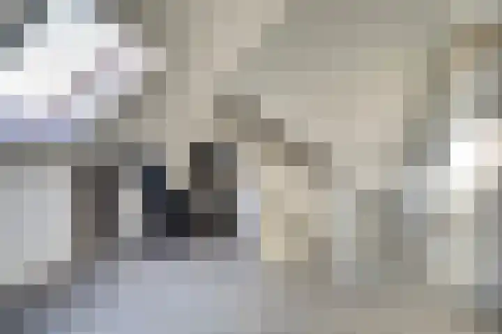Brouwershof 14 Gameren thumbnail 29