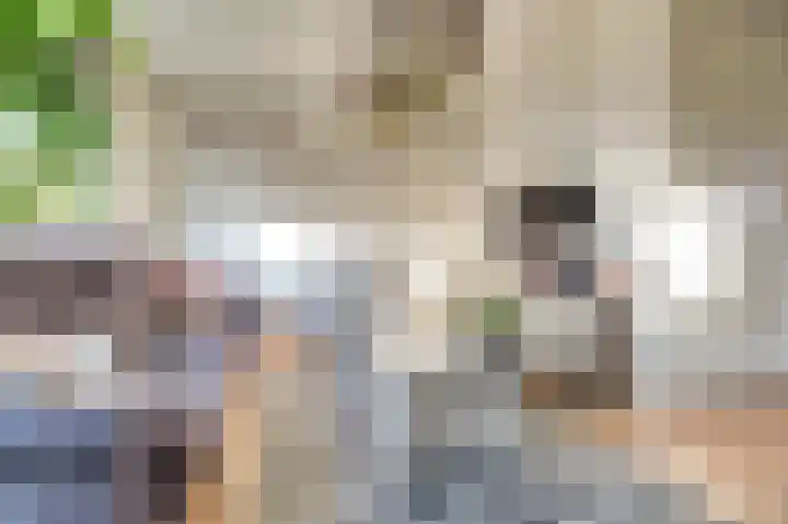 Brouwershof 14 Gameren thumbnail 4