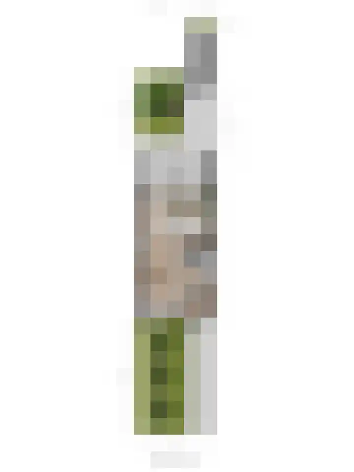 Brouwershof 14 Gameren thumbnail 45