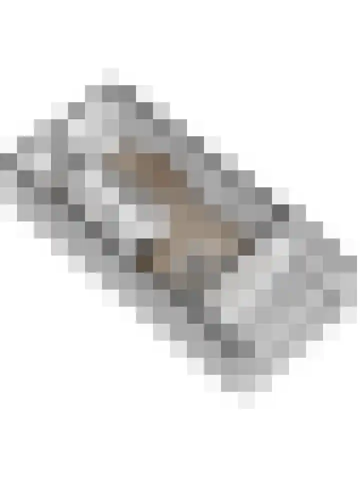 Brouwershof 14 Gameren thumbnail 49