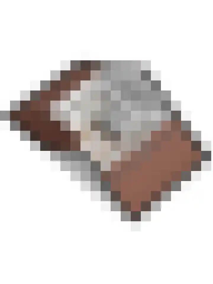 Brouwershof 14 Gameren thumbnail 52