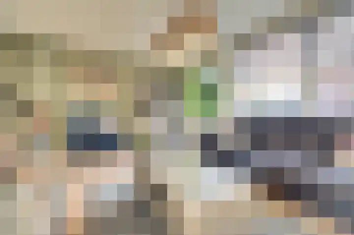 Brouwershof 14 Gameren thumbnail 6
