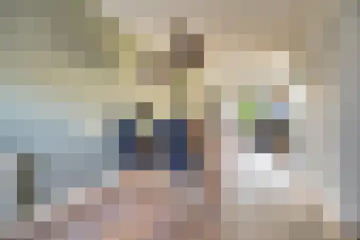 Brouwershof 14 Gameren thumbnail 8