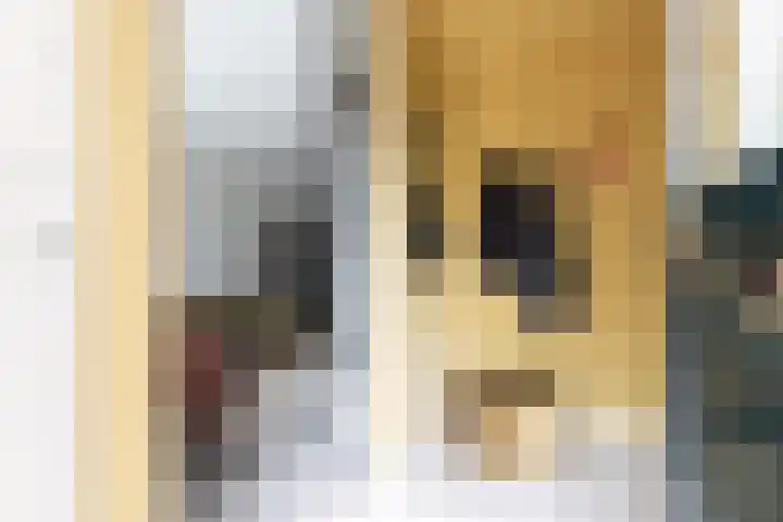Brouwershof 16 Barneveld thumbnail 11