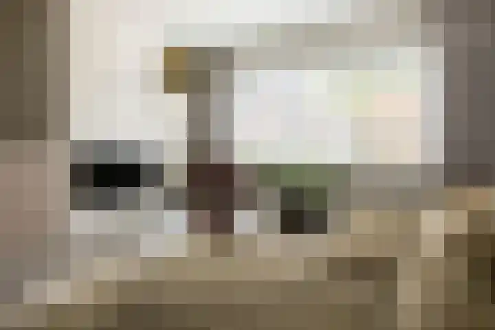 Brouwershof 16 Barneveld thumbnail 13