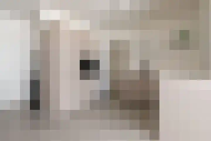 Brouwershof 16 Barneveld thumbnail 21