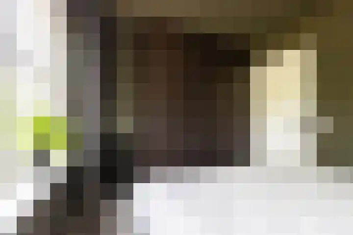 Brouwershof 16 Barneveld thumbnail 25