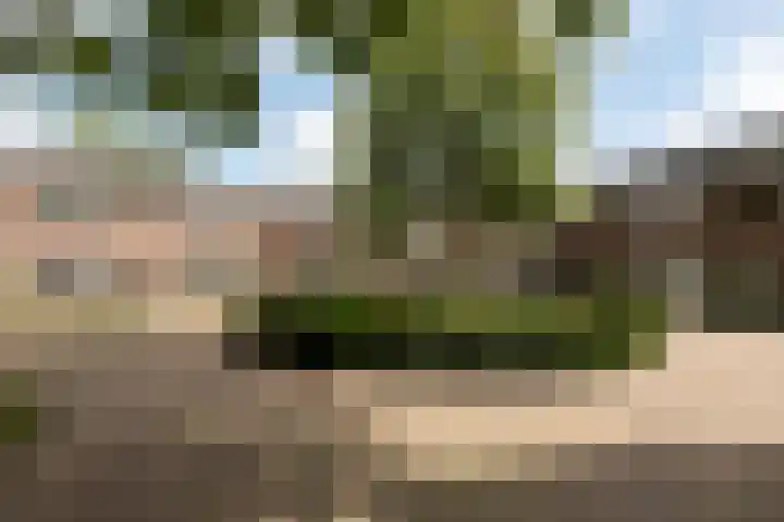 Brouwershof 16 Barneveld thumbnail 7