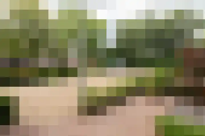 Brouwershof 16 Barneveld thumbnail 8