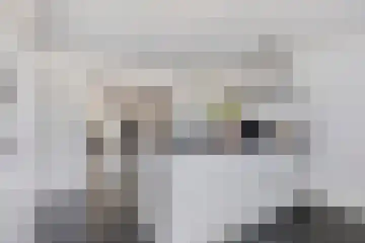 Brouwershof 39 Reek thumbnail 15