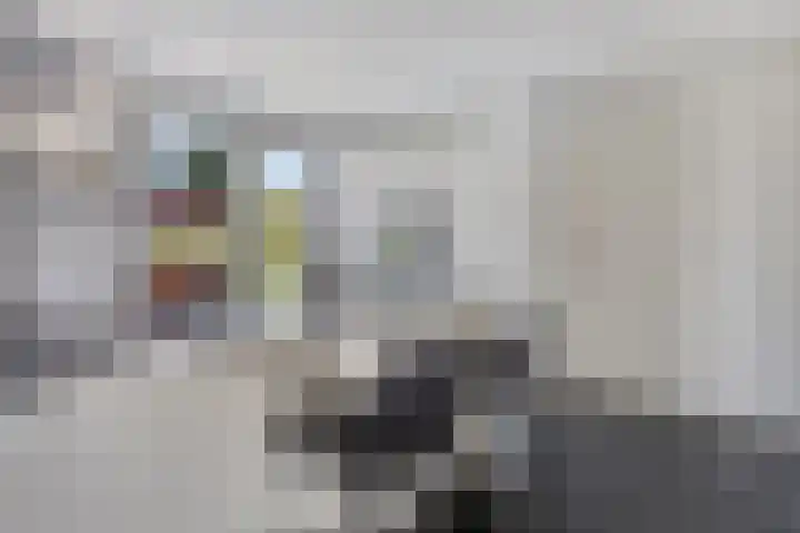 Brouwershof 39 Reek thumbnail 17