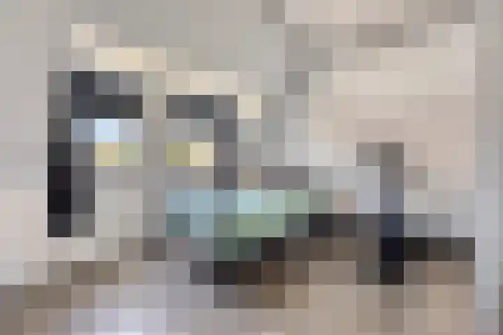 Brouwershof 39 Reek thumbnail 29