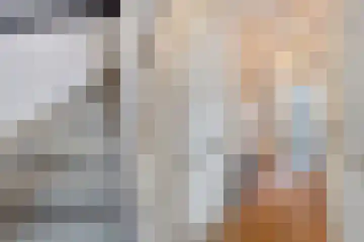 Brouwershof 39 Reek thumbnail 32