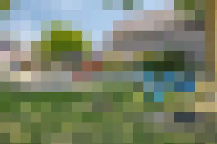 Brouwershof 39 Reek thumbnail 38