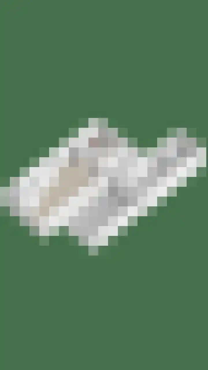 Brouwershof 39 Reek thumbnail 45