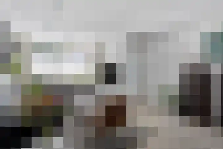 Brouwershof 39 Reek thumbnail 8