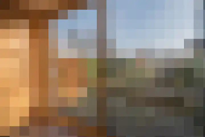 Brouwershof 39 Weesp thumbnail 10