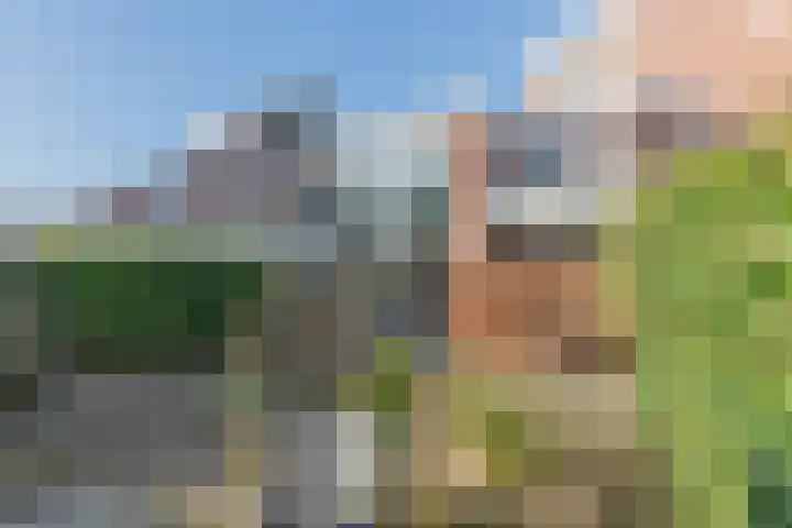Brouwershof 39 Weesp thumbnail 21
