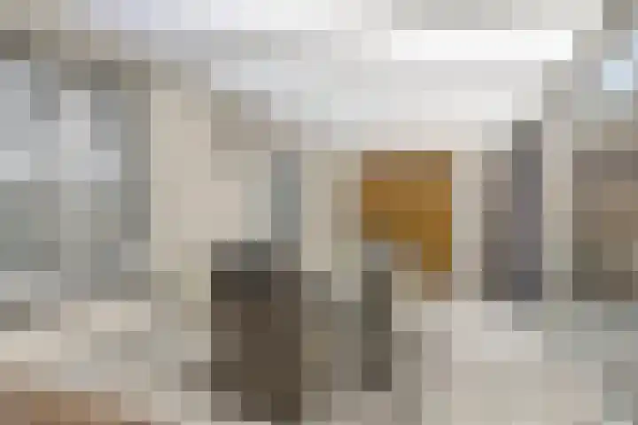 Brouwershof 6 Mill thumbnail 10