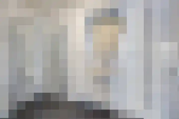 Brouwershof 6 Mill thumbnail 12