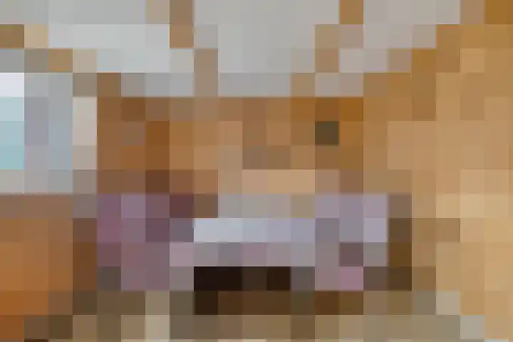 Brouwershof 6 Mill thumbnail 22
