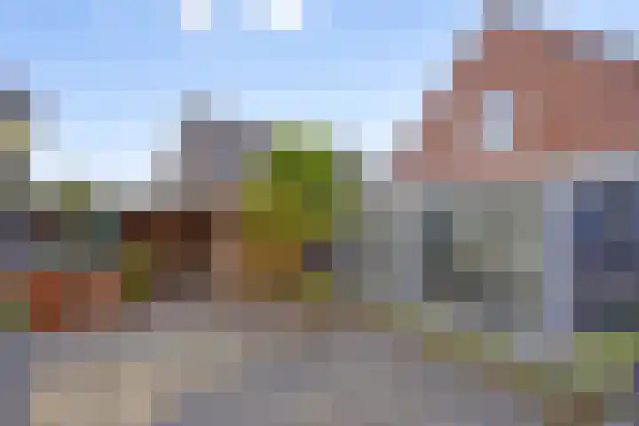 Brouwershof 6 Mill thumbnail 24