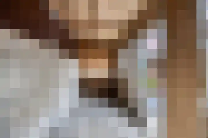 Brouwershof 6 Mill thumbnail 27