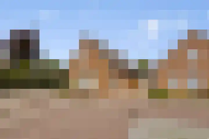 Brouwershof 6 Mill thumbnail 28